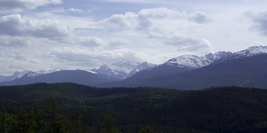 Jasper