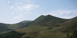 Photos